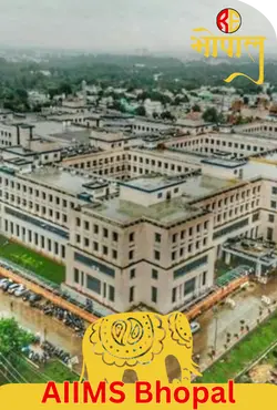 LDA colony
